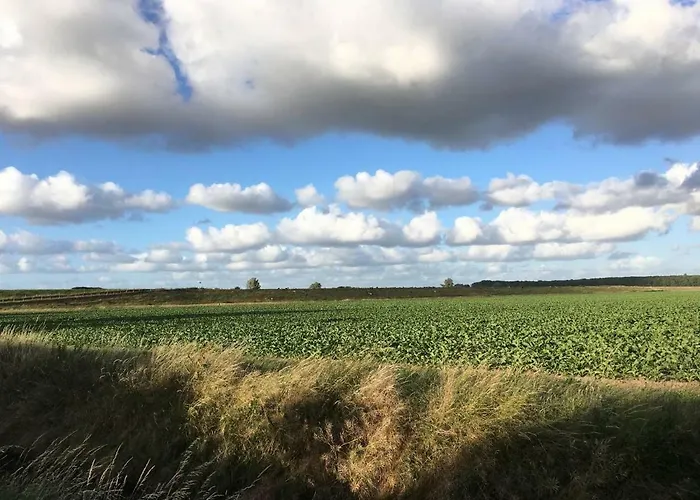Cosy & Natural *fireplace*garden*2 Bikes Heinenoord
